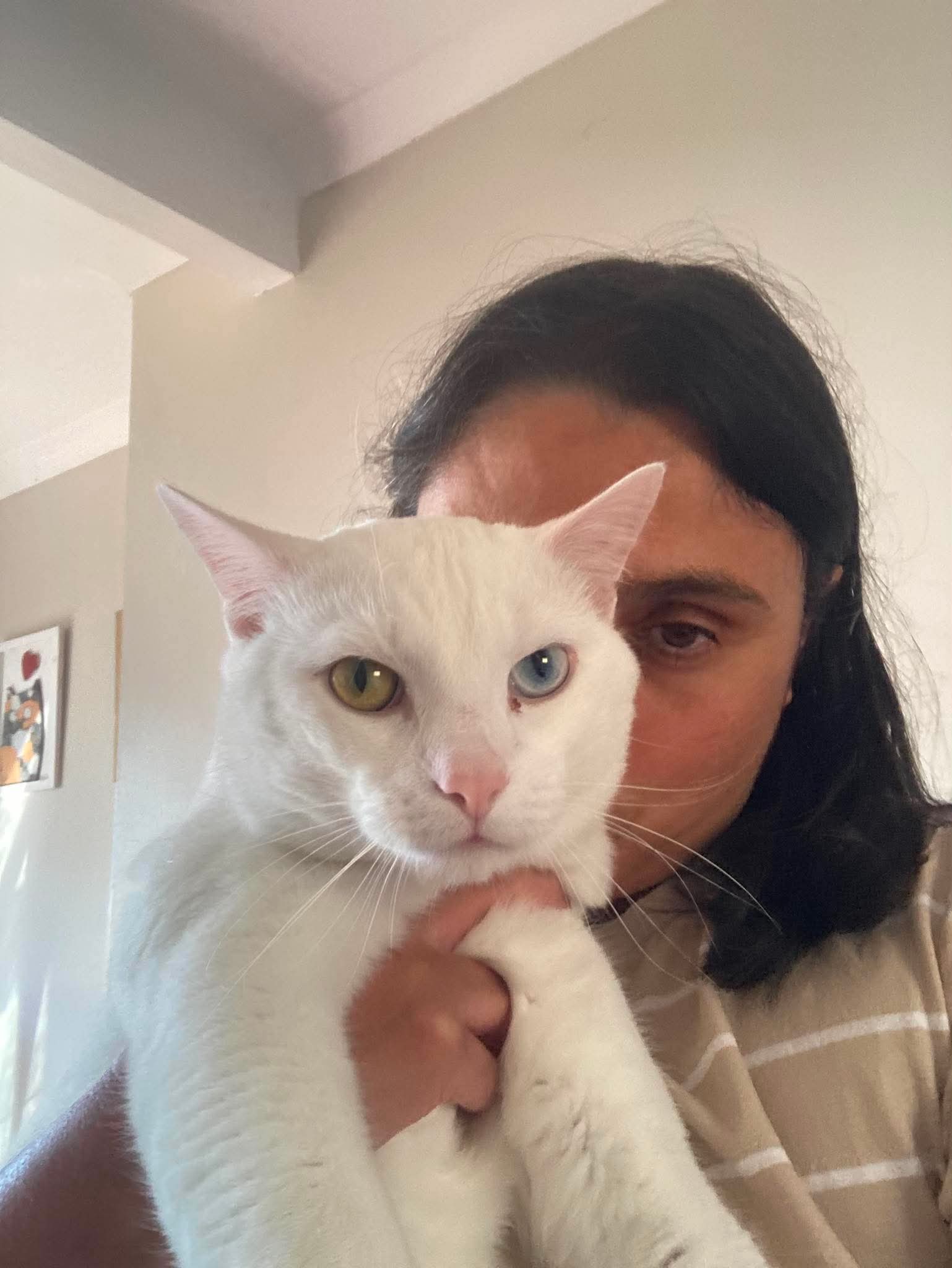 Casper